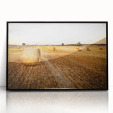 Golden Hay Bales Rustic Wall Art - Farmhouse Country Landscape Decor