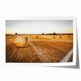Golden Hay Bales Rustic Wall Art - Farmhouse Country Landscape Decor