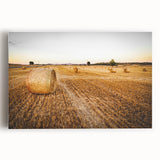 Golden Hay Bales Rustic Wall Art - Farmhouse Country Landscape Decor