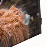 Highland Cow Rustic Wall Art - Farmhouse Decor for Cozy Countryside Homes