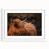 Highland Cow Rustic Wall Art - Farmhouse Decor for Cozy Countryside Homes