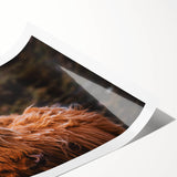 Highland Cow Rustic Wall Art - Farmhouse Decor for Cozy Countryside Homes