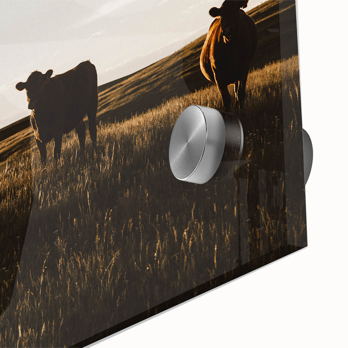 Rustic Cattle Herd Wall Art - Farmhouse Country Landscape Decor