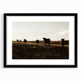Rustic Cattle Herd Wall Art - Farmhouse Country Landscape Decor