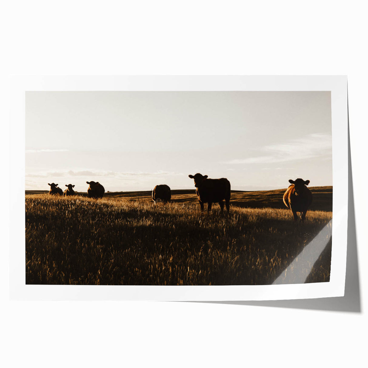 Rustic Cattle Herd Wall Art - Farmhouse Country Landscape Decor