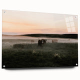 Misty Cattle at Dawn Rustic Wall Art - Farmhouse Country Decor