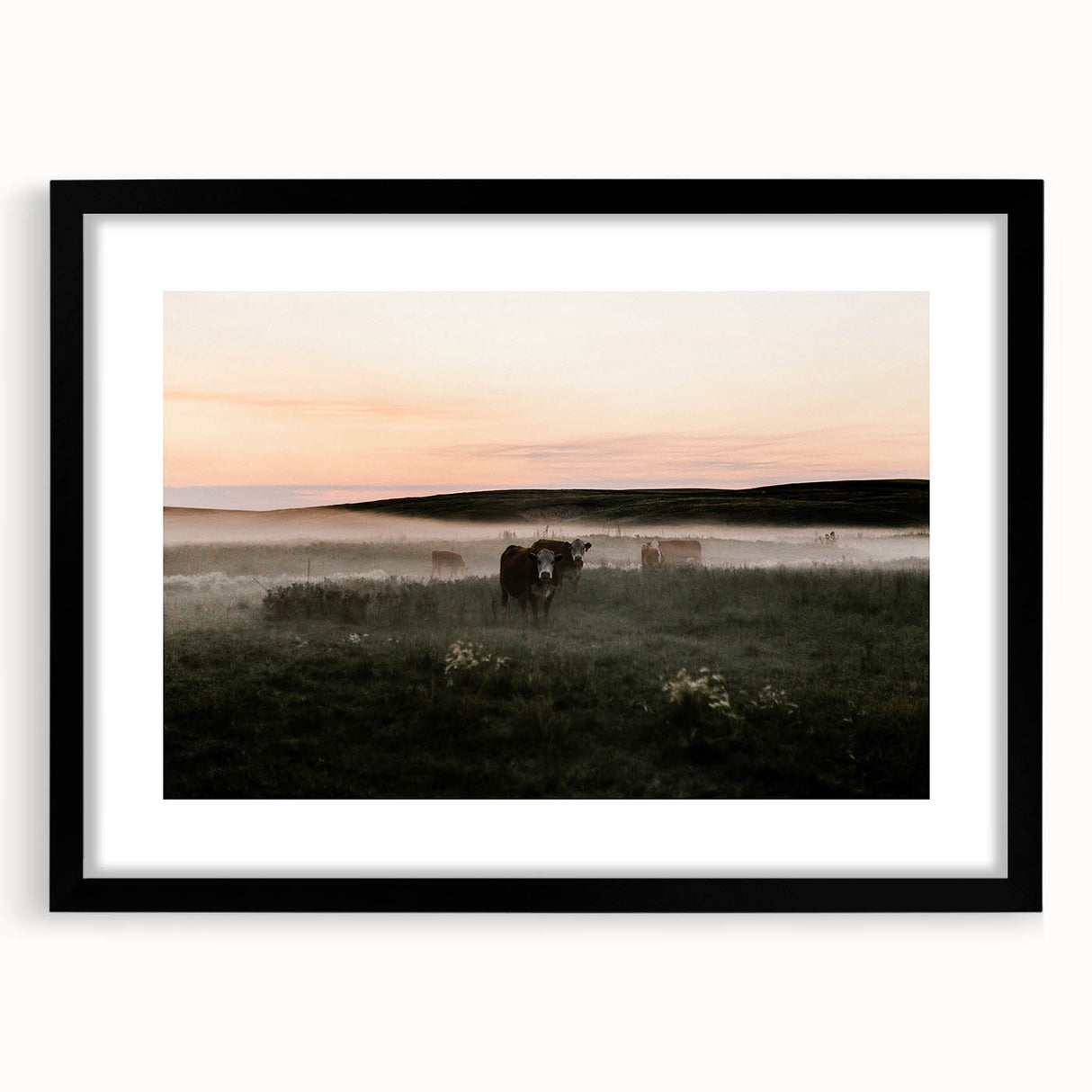 Misty Cattle at Dawn Rustic Wall Art - Farmhouse Country Decor