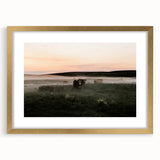 Misty Cattle at Dawn Rustic Wall Art - Farmhouse Country Decor