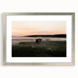 Misty Cattle at Dawn Rustic Wall Art - Farmhouse Country Decor