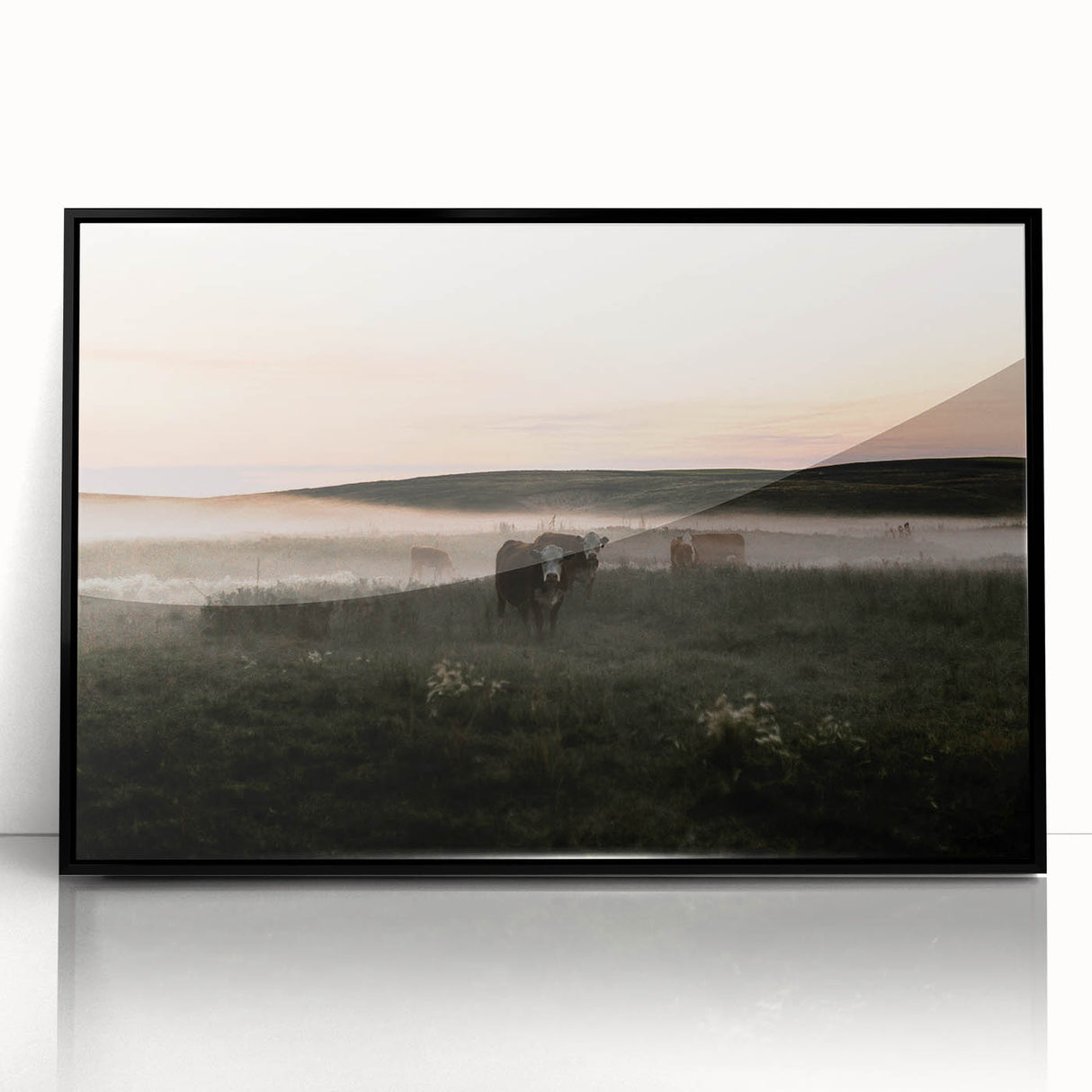Misty Cattle at Dawn Rustic Wall Art - Farmhouse Country Decor
