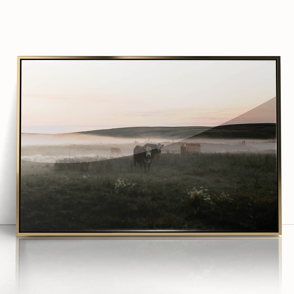 Misty Cattle at Dawn Rustic Wall Art - Farmhouse Country Decor