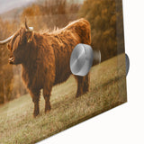Highland Cow Rustic Wall Art - Farmhouse Nature Decor for Country Homes