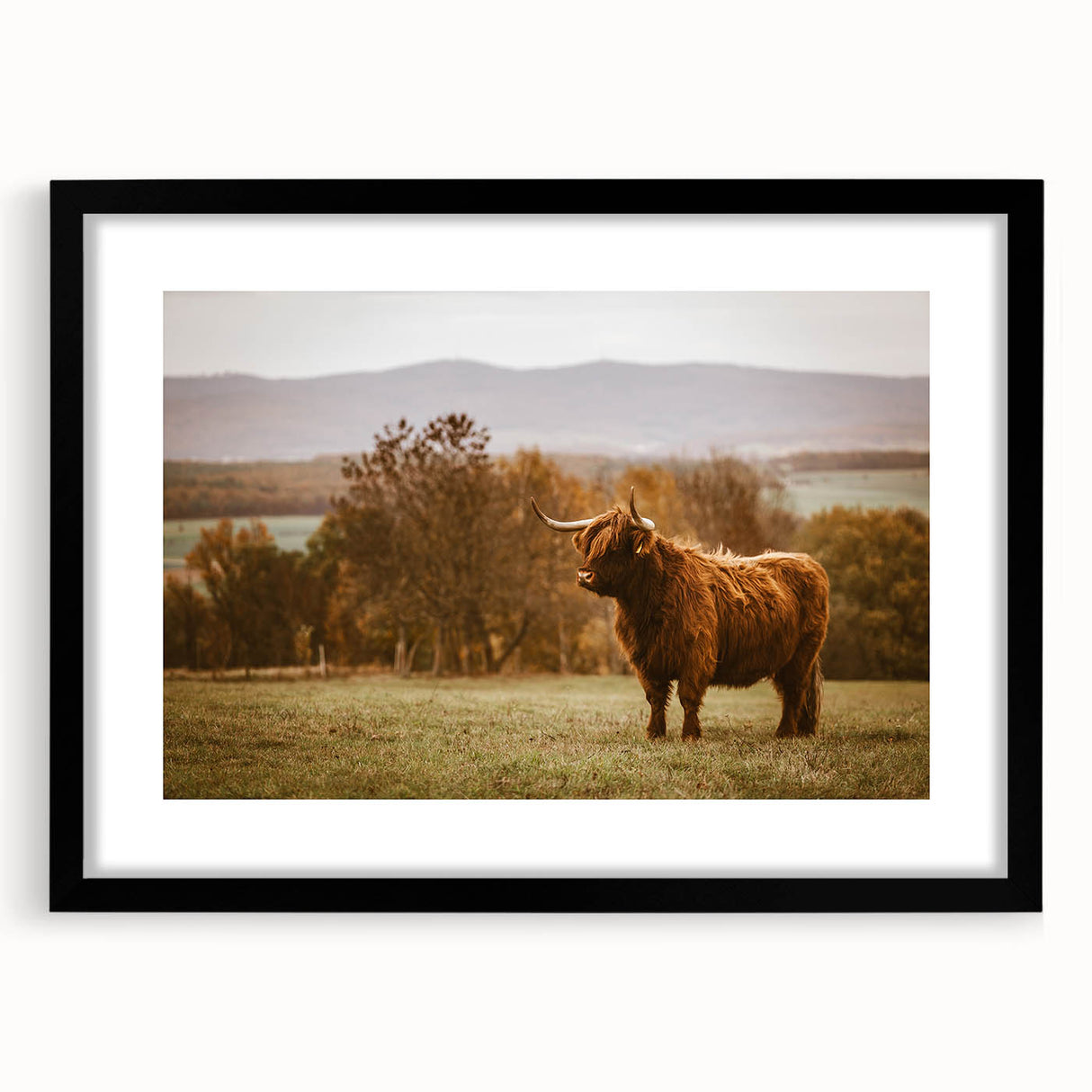 Highland Cow Rustic Wall Art - Farmhouse Nature Decor for Country Homes