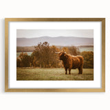 Highland Cow Rustic Wall Art - Farmhouse Nature Decor for Country Homes