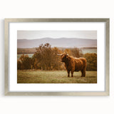 Highland Cow Rustic Wall Art - Farmhouse Nature Decor for Country Homes