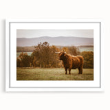 Highland Cow Rustic Wall Art - Farmhouse Nature Decor for Country Homes