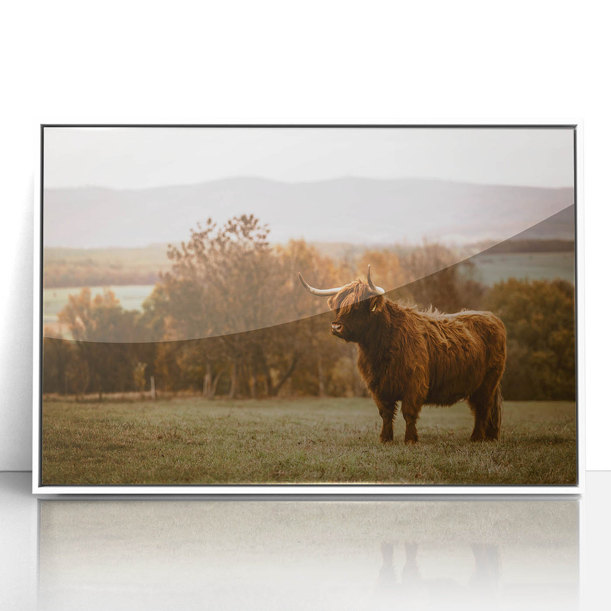 Highland Cow Rustic Wall Art - Farmhouse Nature Decor for Country Homes
