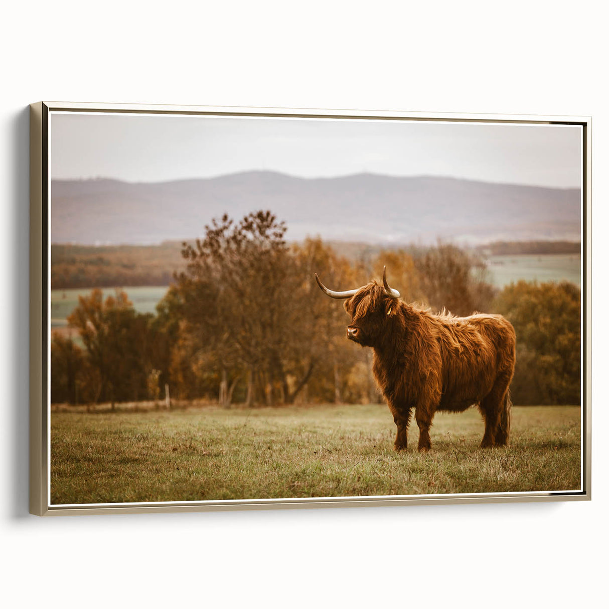 Highland Cow Rustic Wall Art - Farmhouse Nature Decor for Country Homes