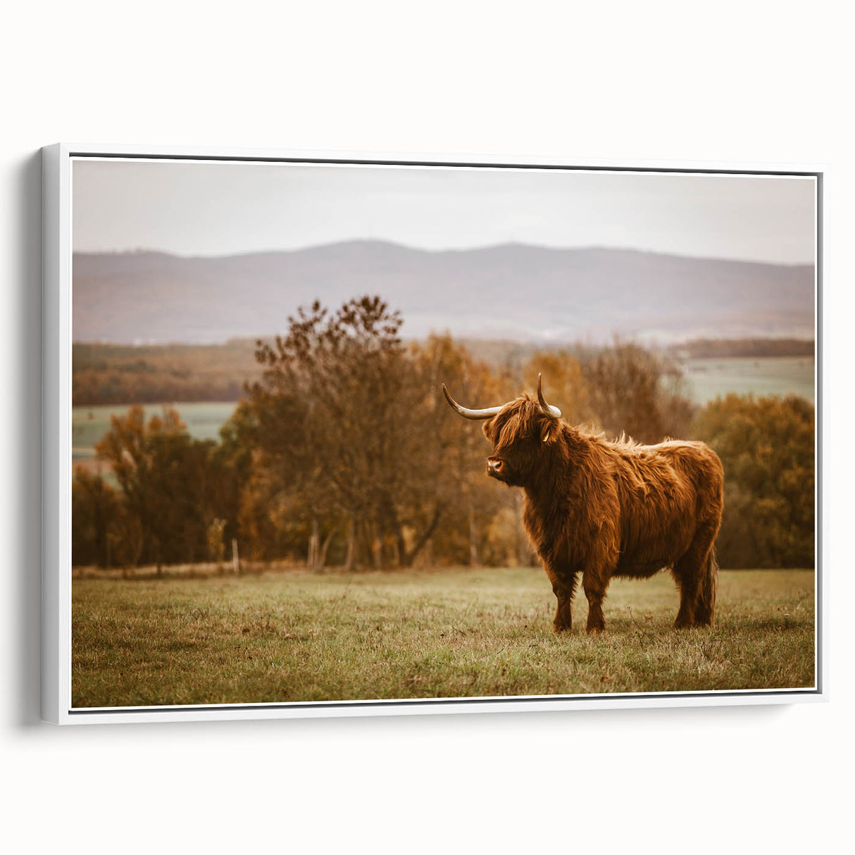 Highland Cow Rustic Wall Art - Farmhouse Nature Decor for Country Homes