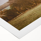 Highland Cow Rustic Wall Art - Farmhouse Nature Decor for Country Homes