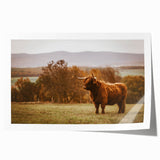 Highland Cow Rustic Wall Art - Farmhouse Nature Decor for Country Homes
