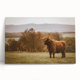 Highland Cow Rustic Wall Art - Farmhouse Nature Decor for Country Homes