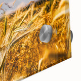 Golden Wheat Field Rustic Wall Art - Farmhouse Decor for Cozy Spaces