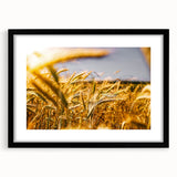 Golden Wheat Field Rustic Wall Art - Farmhouse Decor for Cozy Spaces