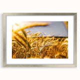 Golden Wheat Field Rustic Wall Art - Farmhouse Decor for Cozy Spaces