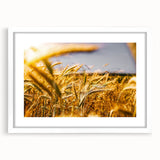 Golden Wheat Field Rustic Wall Art - Farmhouse Decor for Cozy Spaces