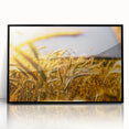 Golden Wheat Field Rustic Wall Art - Farmhouse Decor for Cozy Spaces