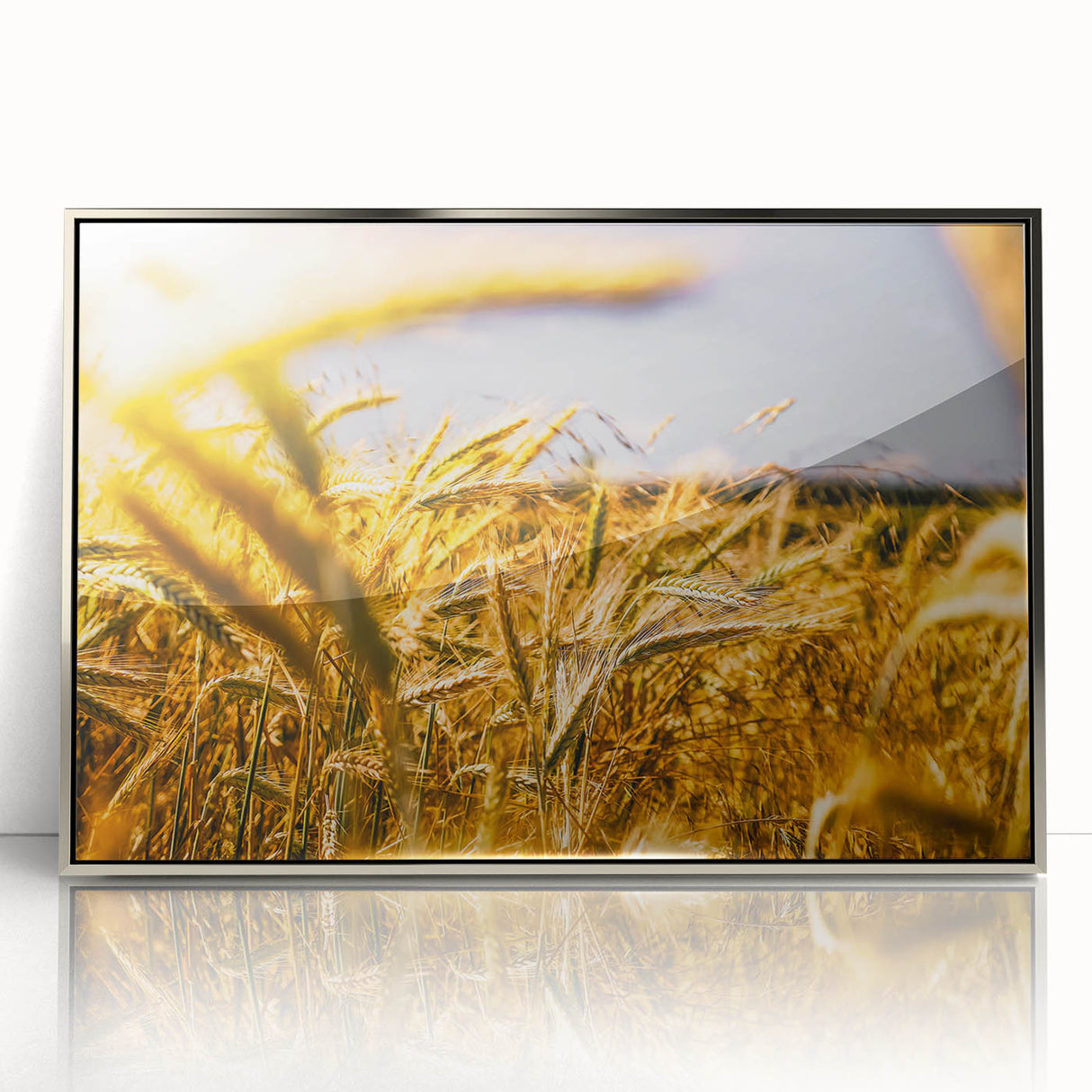 Golden Wheat Field Rustic Wall Art - Farmhouse Decor for Cozy Spaces