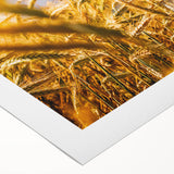 Golden Wheat Field Rustic Wall Art - Farmhouse Decor for Cozy Spaces