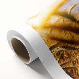 Golden Wheat Field Rustic Wall Art - Farmhouse Decor for Cozy Spaces