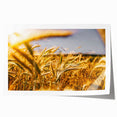 Golden Wheat Field Rustic Wall Art - Farmhouse Decor for Cozy Spaces