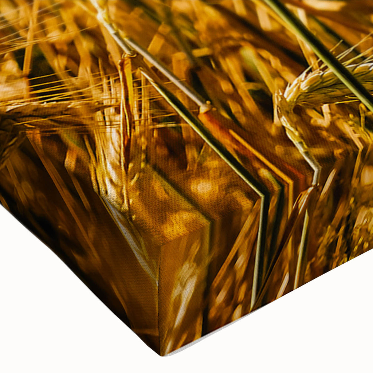 Golden Wheat Field Rustic Wall Art - Farmhouse Decor for Cozy Spaces
