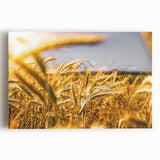 Golden Wheat Field Rustic Wall Art - Farmhouse Decor for Cozy Spaces