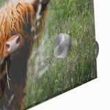 Highland Cow Rustic Wall Art - Cozy Farmhouse Nature Decor for Homes