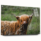 Highland Cow Rustic Wall Art - Cozy Farmhouse Nature Decor for Homes