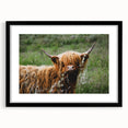 Highland Cow Rustic Wall Art - Cozy Farmhouse Nature Decor for Homes