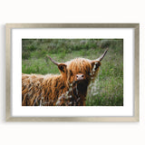 Highland Cow Rustic Wall Art - Cozy Farmhouse Nature Decor for Homes