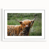 Highland Cow Rustic Wall Art - Cozy Farmhouse Nature Decor for Homes
