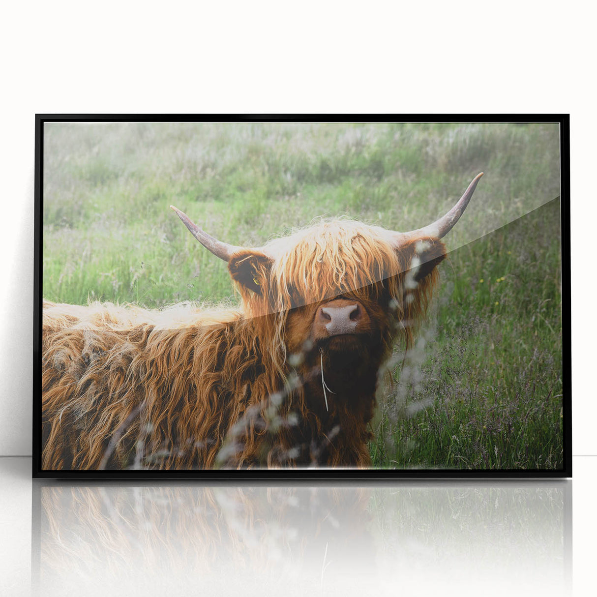 Highland Cow Rustic Wall Art - Cozy Farmhouse Nature Decor for Homes
