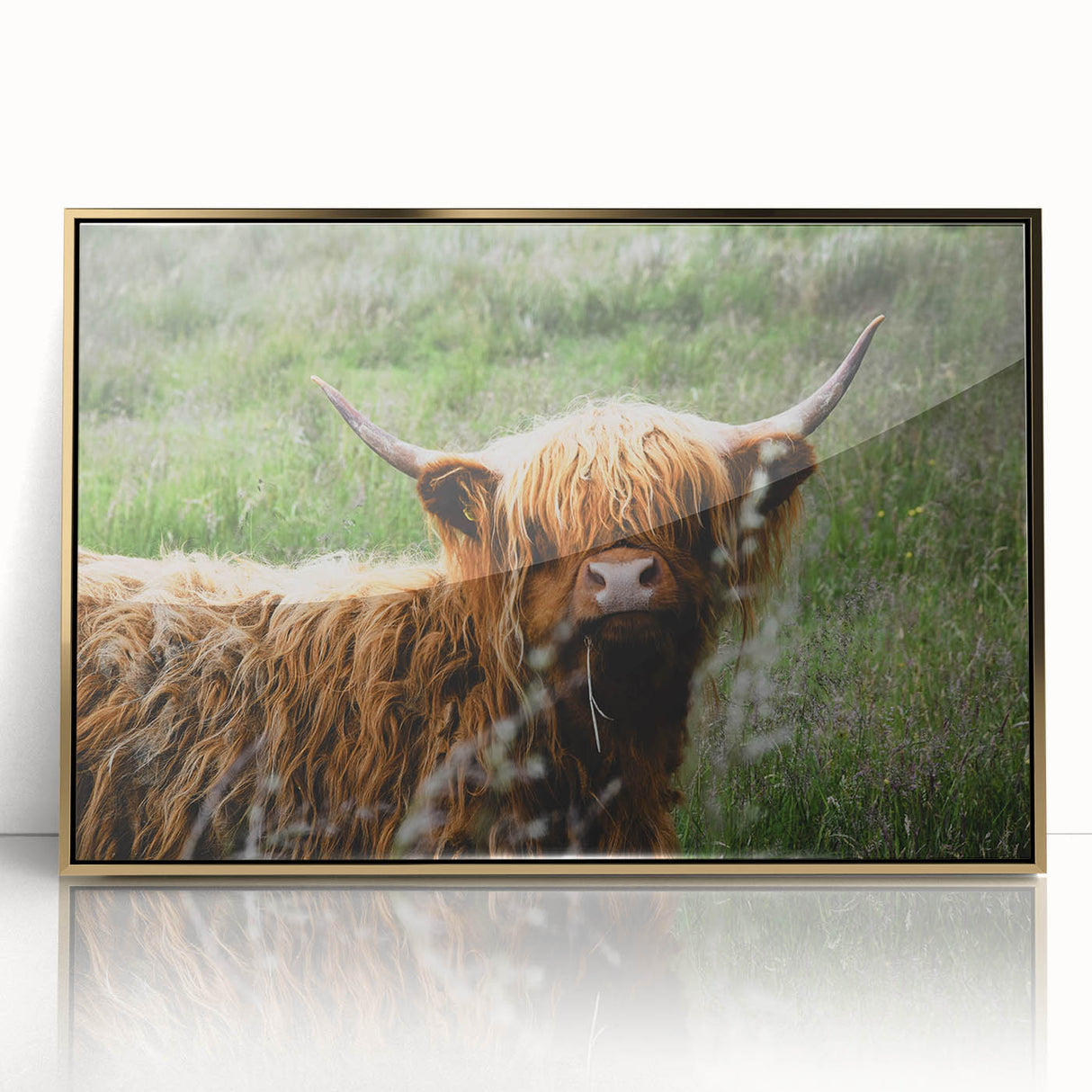 Highland Cow Rustic Wall Art - Cozy Farmhouse Nature Decor for Homes