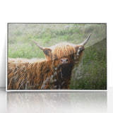 Highland Cow Rustic Wall Art - Cozy Farmhouse Nature Decor for Homes