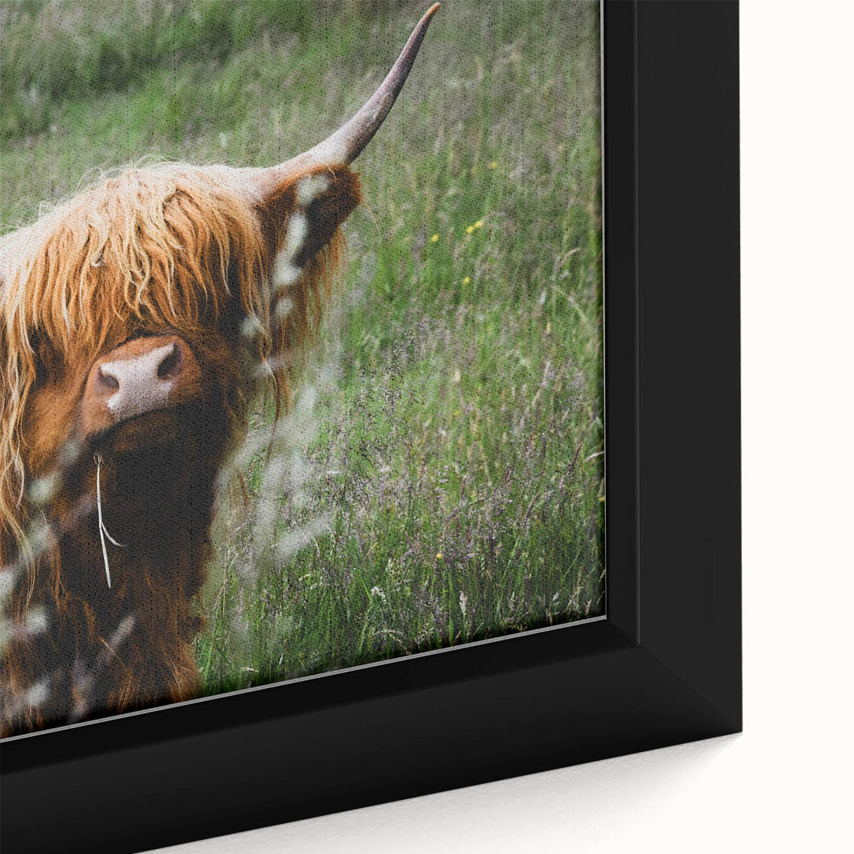 Highland Cow Rustic Wall Art - Cozy Farmhouse Nature Decor for Homes