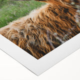 Highland Cow Rustic Wall Art - Cozy Farmhouse Nature Decor for Homes