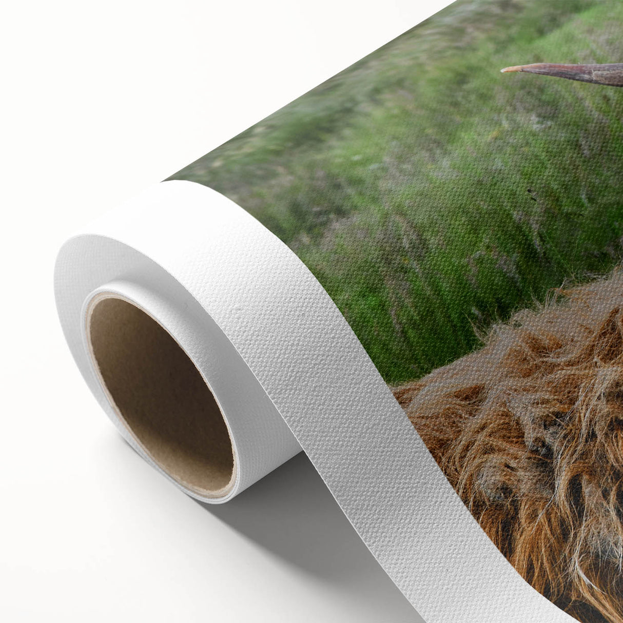 Highland Cow Rustic Wall Art - Cozy Farmhouse Nature Decor for Homes