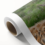 Highland Cow Rustic Wall Art - Cozy Farmhouse Nature Decor for Homes