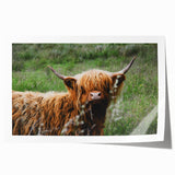 Highland Cow Rustic Wall Art - Cozy Farmhouse Nature Decor for Homes